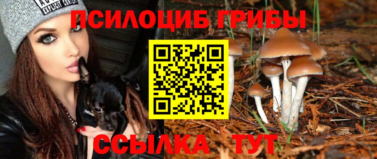 Псилоцибиновые грибы прущие грибы Курган